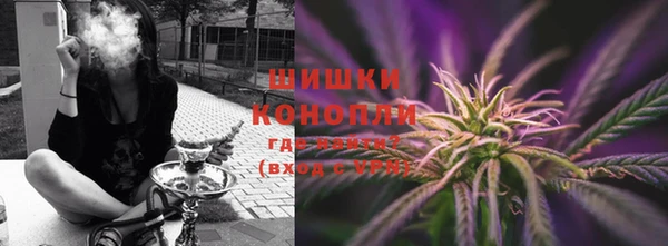 сатива Армянск