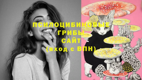 молекула духа Аркадак
